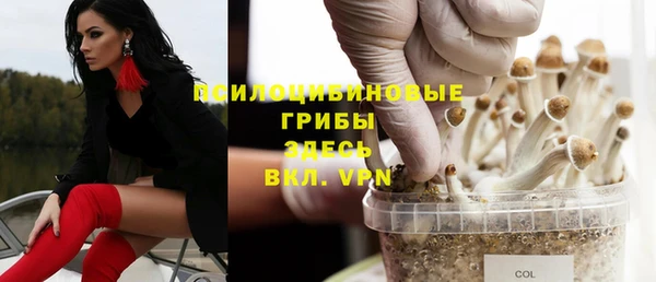 амф Алексеевка
